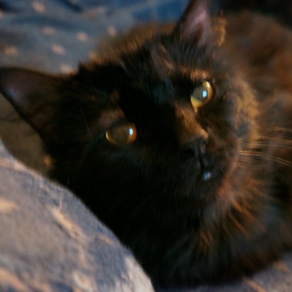 Hello everyone! I'm Kirin! - Picture 8 of 13